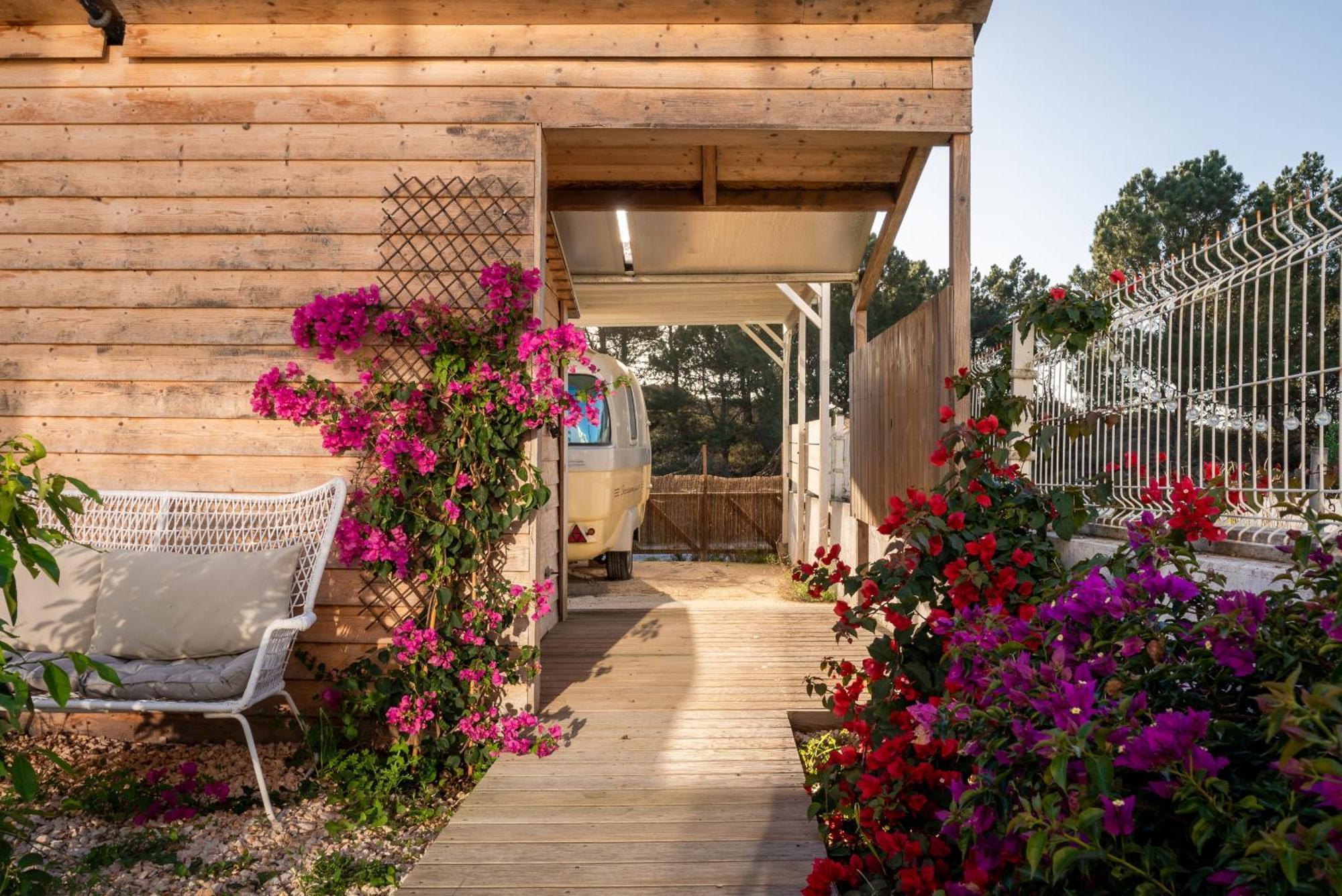 Beach House Clerigo - 2 Unique Apartments Aljezur Εξωτερικό φωτογραφία